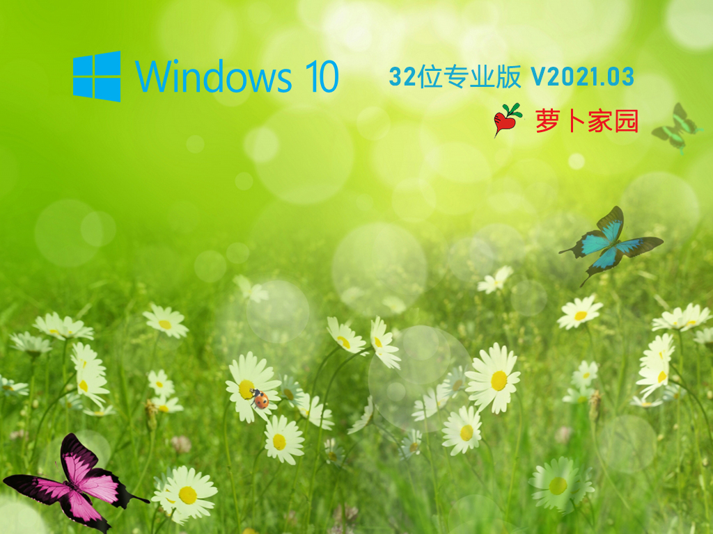 新萝卜家园Win10 20H2 32位办公专业版 V2020.03