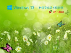 新萝卜家园Win10 20H2 64位游戏专用版 V2020.03