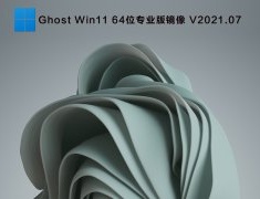 Ghost Win11 64位专业版镜像 V2021.07