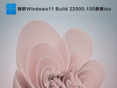 微软Windows11 Build 22000.100原版iso V2021.07