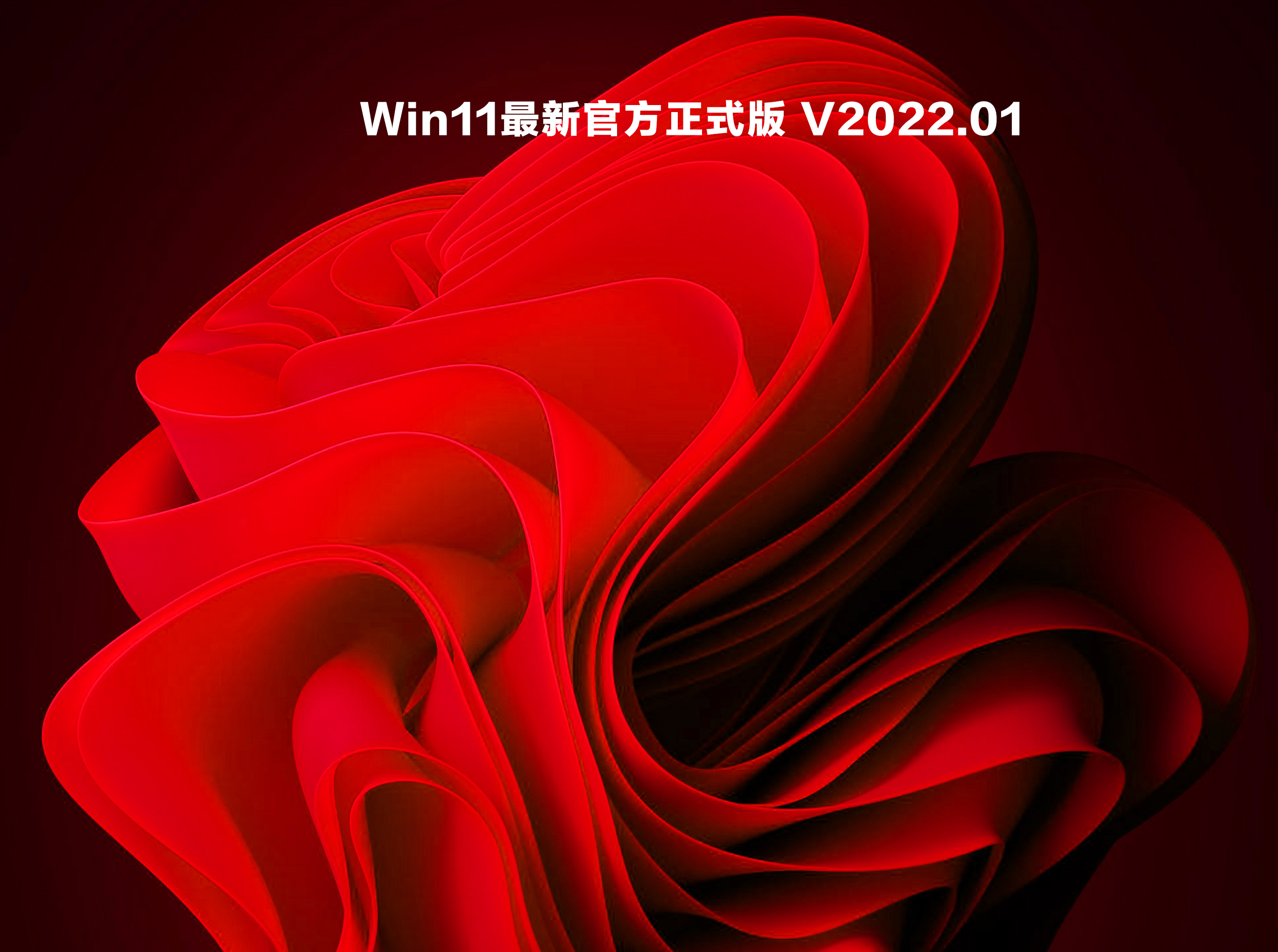 Win11最新官方正式版 V2022.01
