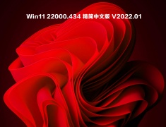 Win11 22000.434 精简中文版 V2022.01