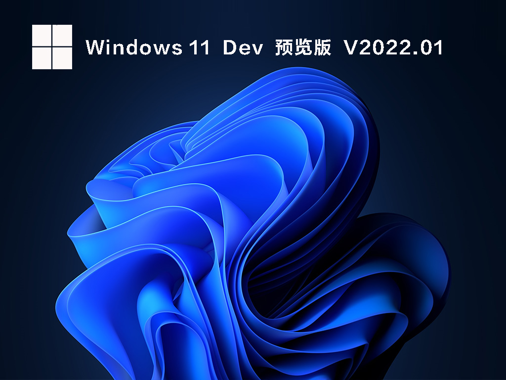 Win11 22533.1001 阿里云盘官方原版 V2022.01