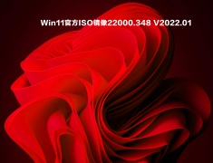 Win11官方ISO镜像22000.348 V2022.01