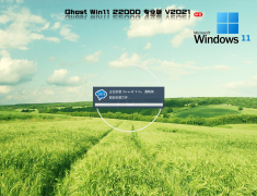 Ghost Win11 22000.493 专业正式版 V2022.02
