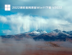 2022微软官网原版Win11下载 V2022