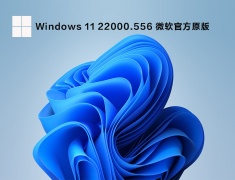 Windows 11 22000.556 微软官方原版 V2022.03