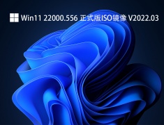 Win11 22000.556 正式版ISO镜像 V2022.03