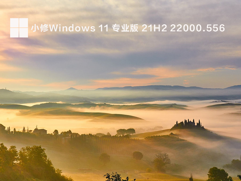 小修Windows 11 专业版 21H2 22000.556 V2022.03