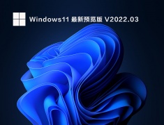 Windows11 最新预览版 V2022.03