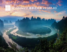 Windows11 最新正式版 V2022.03