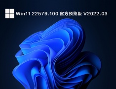 Win11 22579.100(ni_release) 预览版 V2022.03