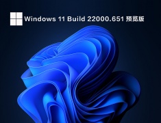 Windows 11 Build 22000.651 预览版 V2022.04