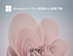 Windows11 Dev预览版iso镜像下载 V22598.200