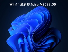 Win11最新原版iso V2022.05