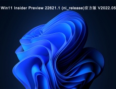 Win11 Insider Preview 22621.1 (ni_release)官方版 V2022.05