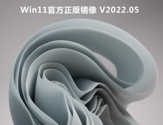 Win11官方正版镜像 V2022.05