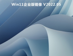 Win11企业版镜像 V2022.05
