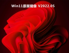 Win11原版镜像 V2022.05