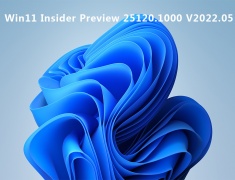 Win11 Insider Preview 25120.1000 (rs_prerelease)官方版 V2022.05