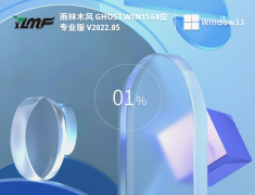 雨林木风 Ghost Win11 64位 最新专业版 V2022.05