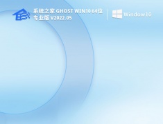 系统之家 Ghost Win10 64位 标准专业版 V2022.05