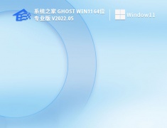 系统之家 Ghost Win11 64位 专业正式版 V2022.05