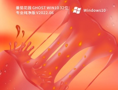 Win10纯净版32位|番茄花园 Ghost Win10 32位专业纯净版下载 V2022.06