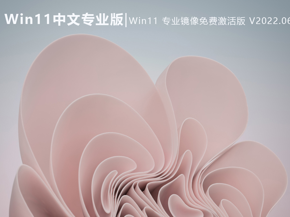 Win11中文专业版|Windows11专业原版镜像免费激活版 V2022.06