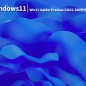 Win1122622.290|微软最新Win11 Insider Preview 22622.290(ni_release)官方镜像V2022.07