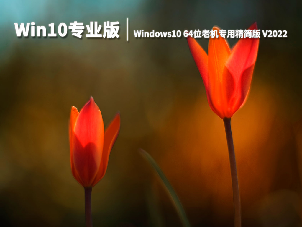 Win10专业版|Windows10 64位老机专用精简版 V2022