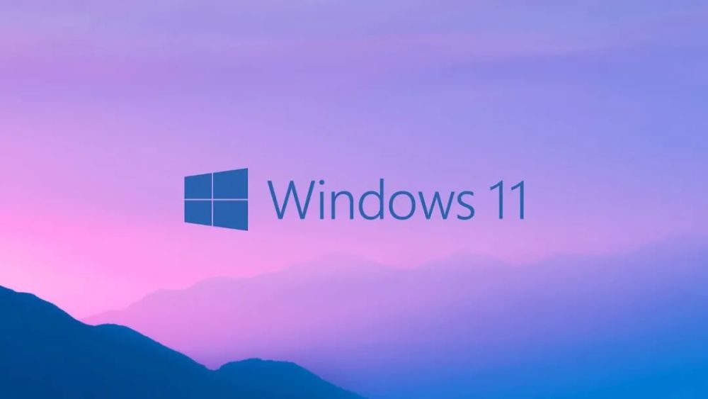 更新失败Windows11 insider preview怎么解决？Win11安装0x8007000d解决方法