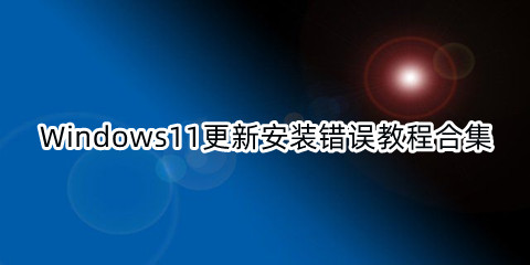 Windows11更新安装错误教程合集