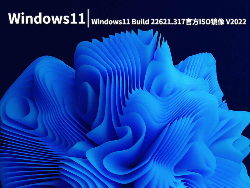 Win11 22621.317|Windows11 Build 22621.317(KB5015885)官方ISO镜像 V2022.07