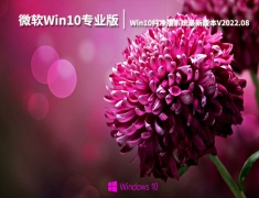微软Win10 64位专业版下载|Win10纯净版系统最新版本V2022.08