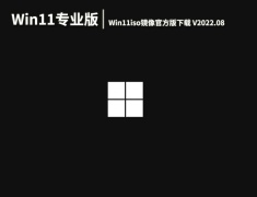 Windows11最新专业版下载|Win11iso镜像官方版下载 V2022.08