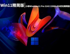 Win11 22000.856|小修Windows11 Pro 21H2 22000.856优化精简版 V2022.08