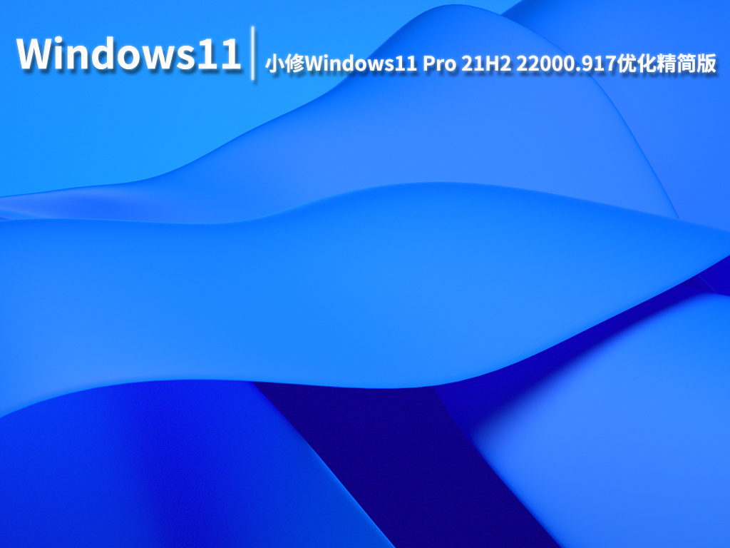 Win11 Build 22000.917_小修Windows11 Pro 21H2 22000.917优化精简版 V2022.08