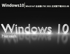 Windows 10 IoT 企业版|Win10 IoT 企业版LTSC 2021 正式版 V2022.08
