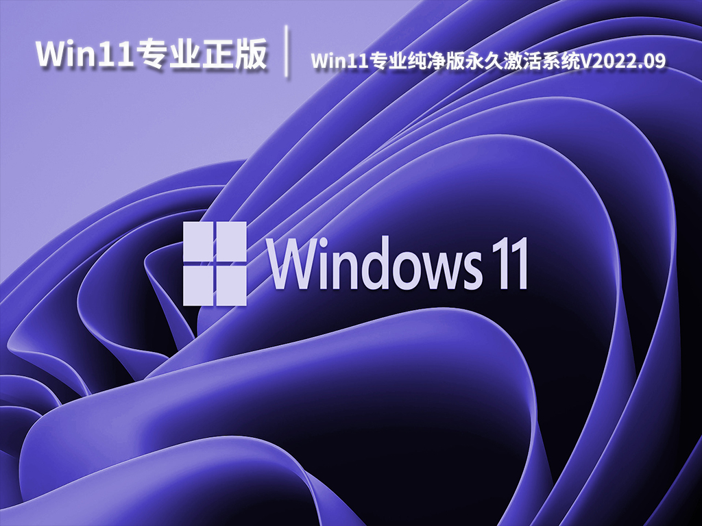 Win11专业正版系统下载|Win11专业纯净版永久激活系统V2022.09