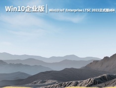 Win10企业版|Win10 IoT Enterprise LTSC 2022正式版x64镜像下载 V2022.12