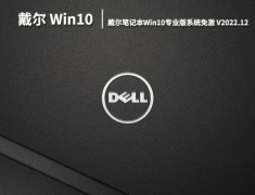 dell正版Win10系统|戴尔笔记本Win10专业版系统免激活下载 V2022.12