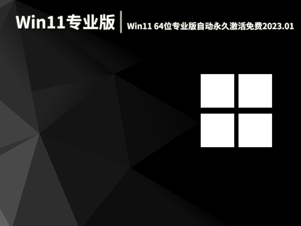 Win11专业版下载安装|Win11 64位专业版自动永久激活免费下载 V2023.01