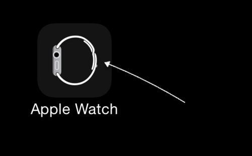苹果手表忘记密码怎么办