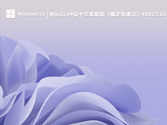 Win11 64位中文家庭版（稳定免激活）V2023.02