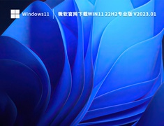 微软官网下载Win11 22H2专业版 V2023.01