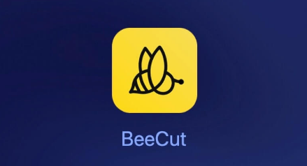 蜜蜂剪辑怎么将字幕设置为黑底 蜜蜂剪辑黑底字幕更改步骤