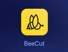 蜜蜂剪辑怎么将字幕设置为黑底 蜜蜂剪辑黑底字幕更改步骤