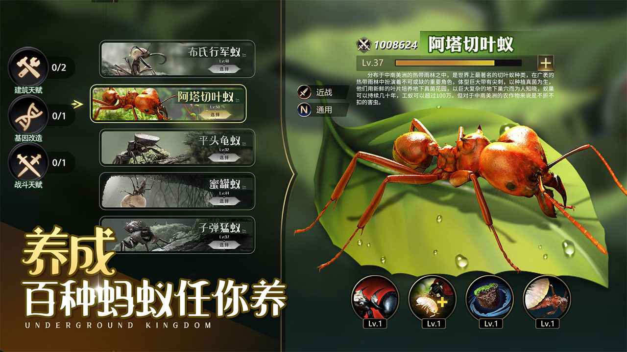 小小蚁国37官网 V1.48.0