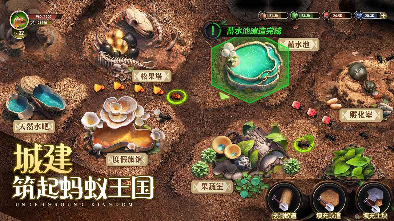 小小蚁国37官网 V1.48.0